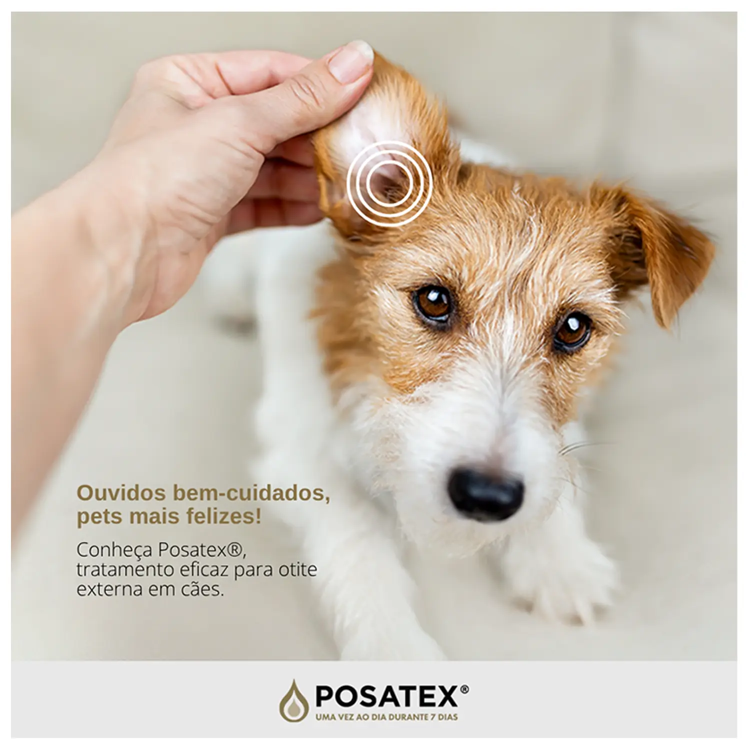 Posatex Suspensão Otológica para Cães